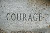 Profiles in Courage