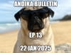 EP 13 of the ANDIKA BULLETin