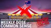 Sorting Out The Senate Circus